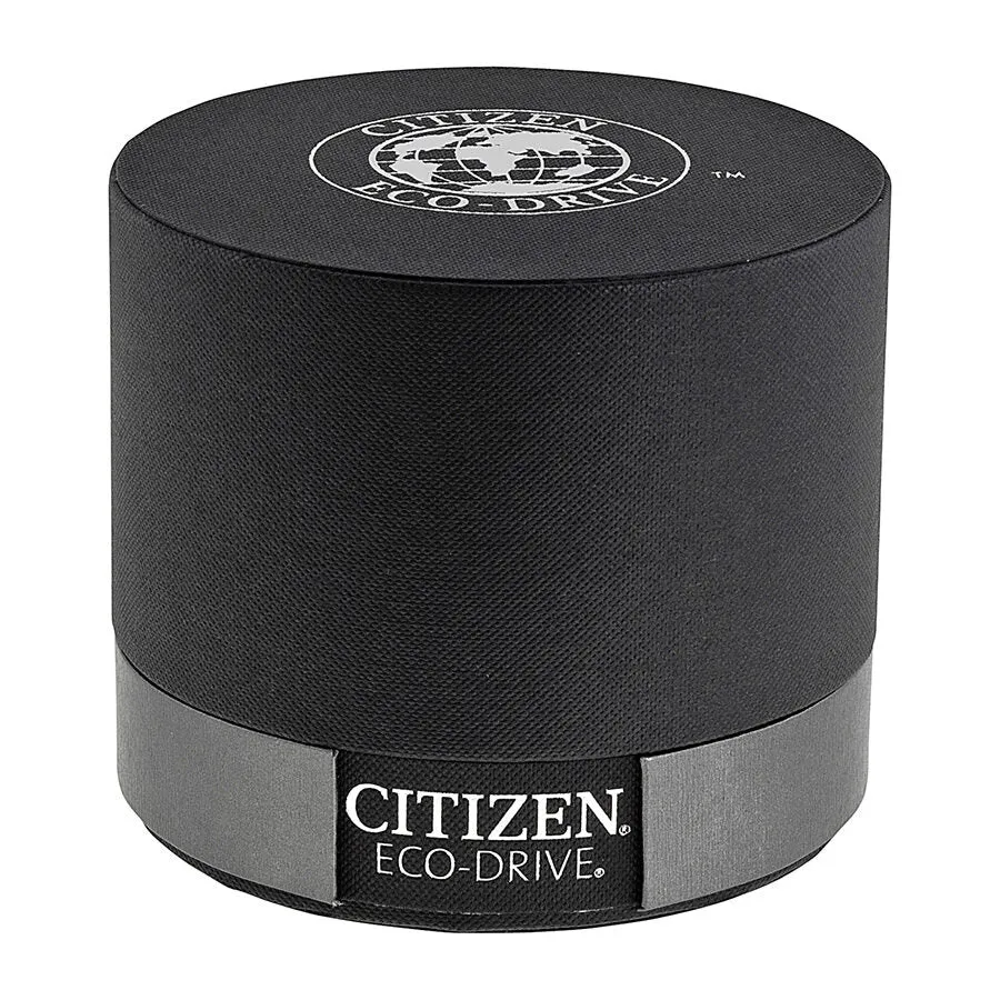 Citizen Calibre 8700 Eco-Drive Perpetual Calendar Men's Watch BL8004-53E