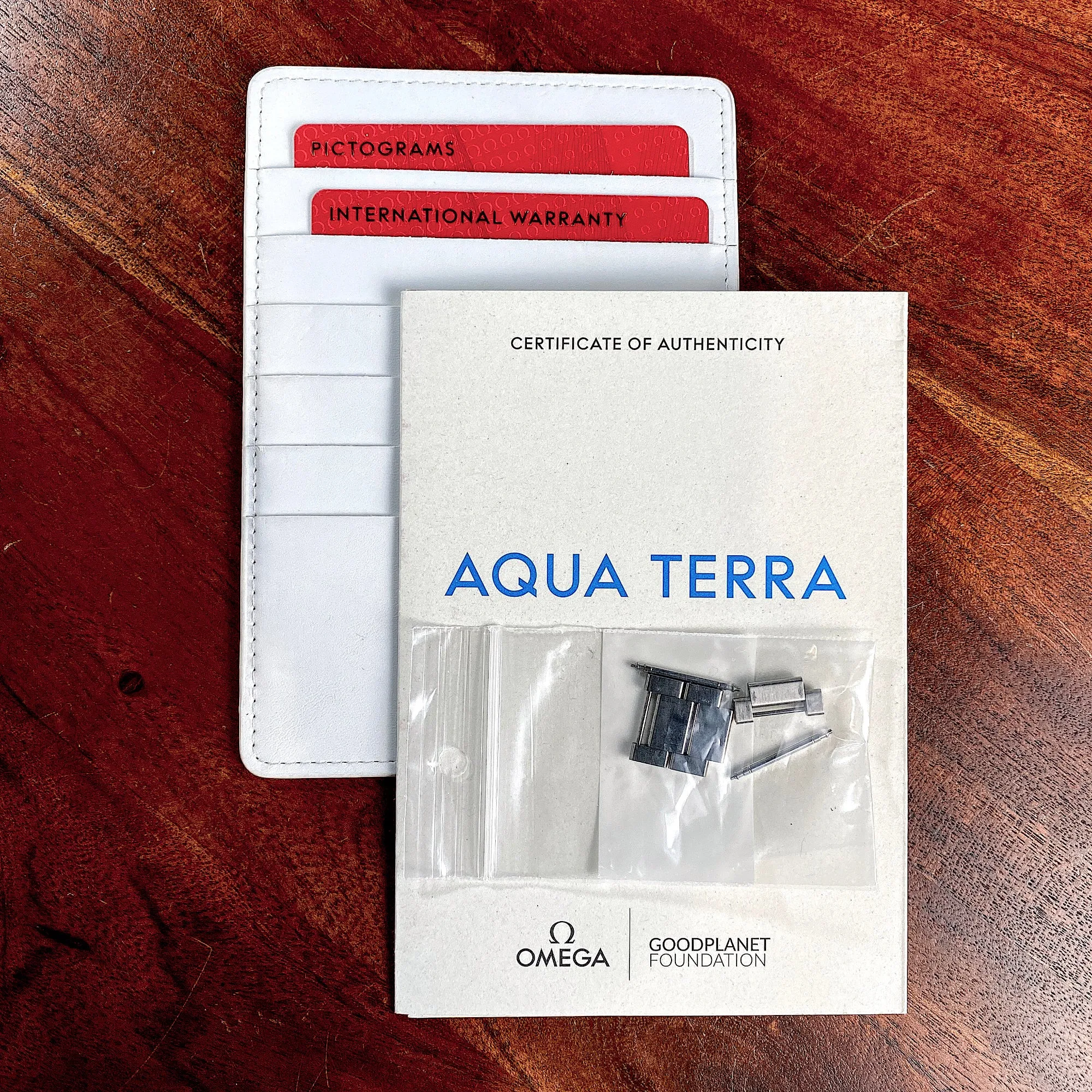 Omega - Aqua Terra GMT