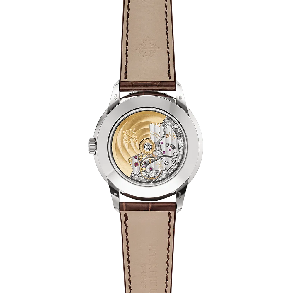Patek Philippe Grand Complications 5320G-011