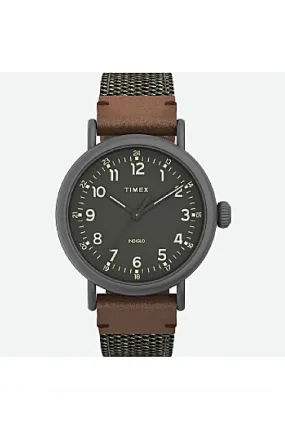 Timex Standard 40Mm Green